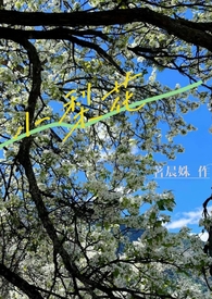 小兰和新一绘画